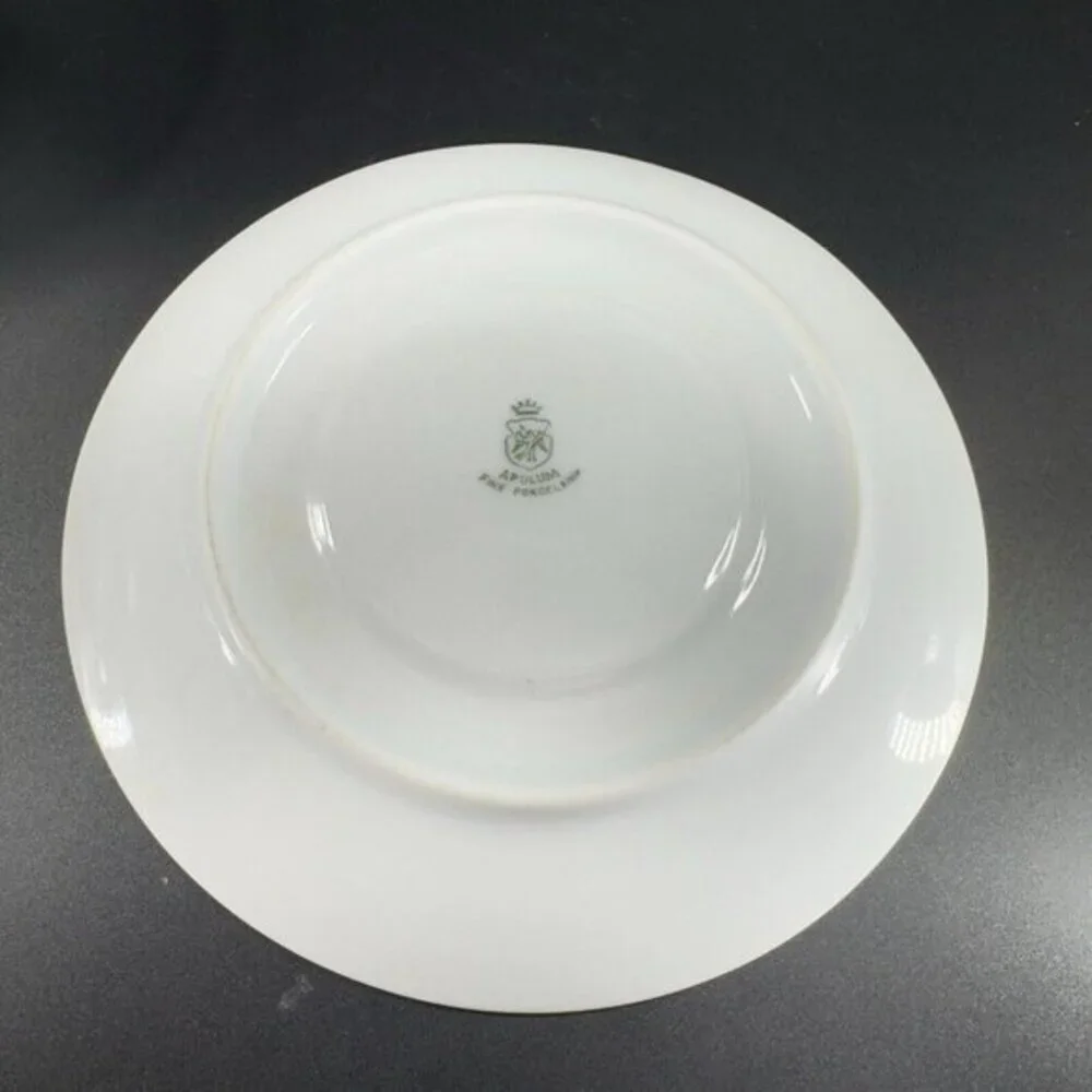 Apulum Fine Porcelain Classic Teacup And Saucer Set Fruit Flower Pattern Vintage
